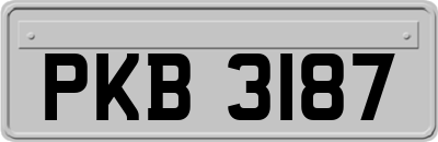 PKB3187