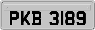 PKB3189