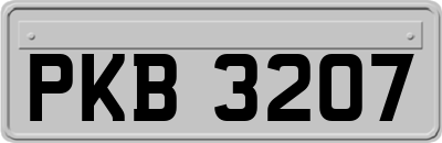 PKB3207