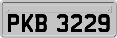 PKB3229