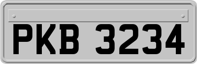PKB3234