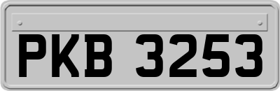PKB3253