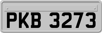 PKB3273