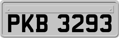 PKB3293