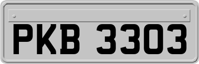 PKB3303