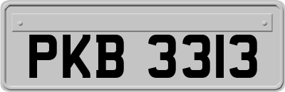 PKB3313