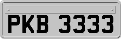 PKB3333