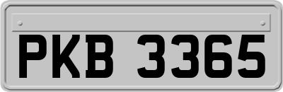 PKB3365