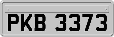PKB3373
