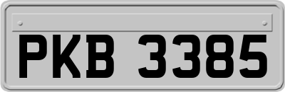 PKB3385