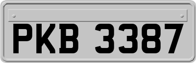 PKB3387