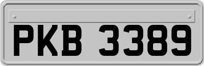 PKB3389
