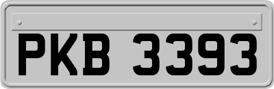 PKB3393