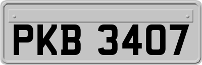 PKB3407