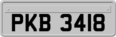 PKB3418