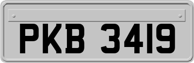 PKB3419
