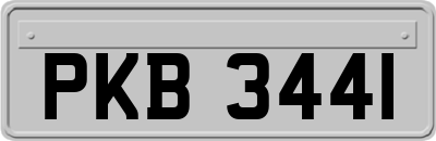 PKB3441