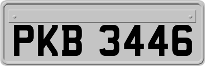 PKB3446