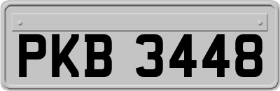 PKB3448