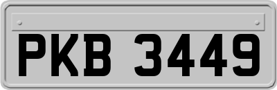 PKB3449
