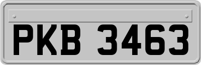 PKB3463