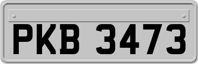 PKB3473