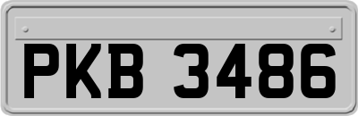 PKB3486