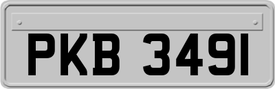 PKB3491
