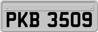 PKB3509