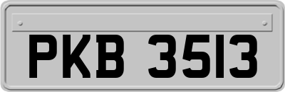 PKB3513