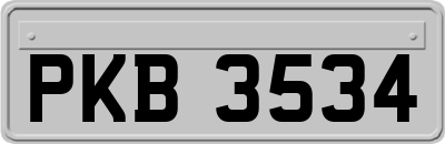 PKB3534