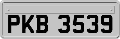 PKB3539