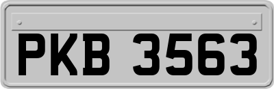PKB3563
