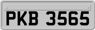 PKB3565