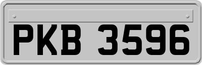 PKB3596