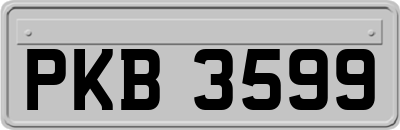PKB3599