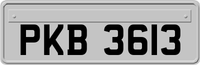 PKB3613