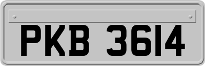 PKB3614