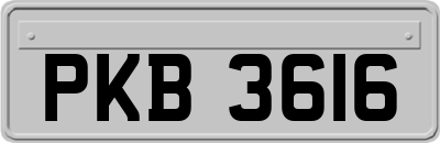 PKB3616
