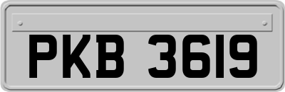 PKB3619
