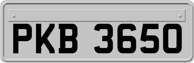 PKB3650