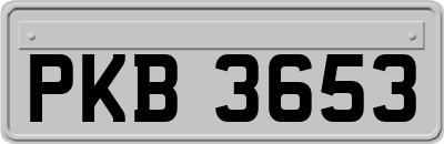 PKB3653
