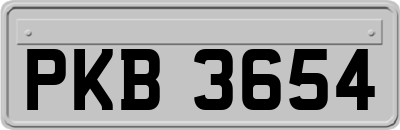 PKB3654