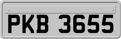 PKB3655