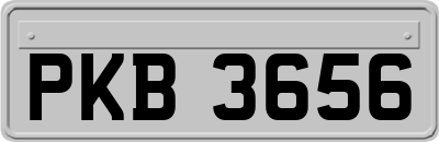 PKB3656