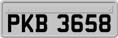 PKB3658