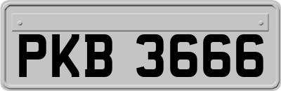PKB3666