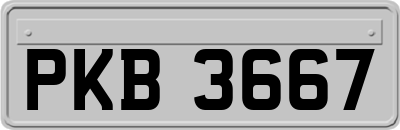 PKB3667