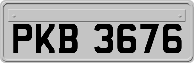 PKB3676
