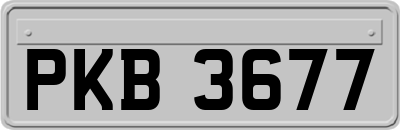 PKB3677